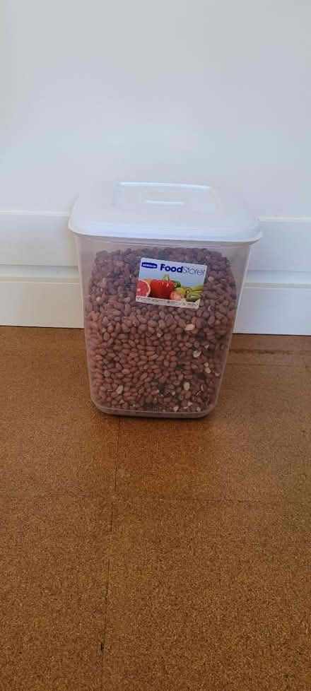 Photo of free 10L Bin - bird & squirrel food (Earl's Court) #2
