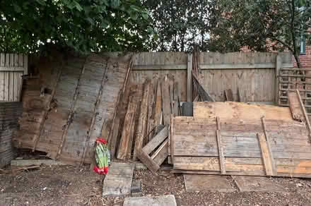 Photo of free Wood (Belle vue Shrewsbury SY3) #1