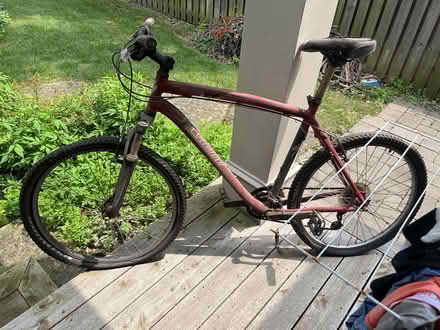 Photo of free Bikes (South east Oakville) #2
