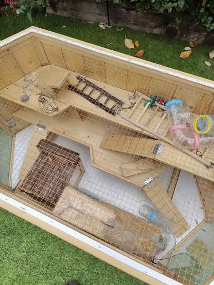 Photo of free Hamster. / Guinee pig cage (Hoddesdon EN11) #2