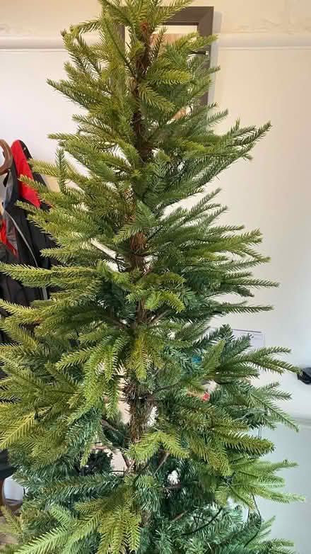 Photo of free Christmas Tree, 7’ M&S (M16 9 WT) #1