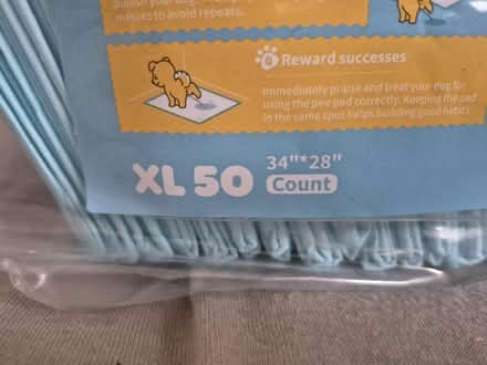 Photo of free Dog Training Pads (Presteigne LD8) #2