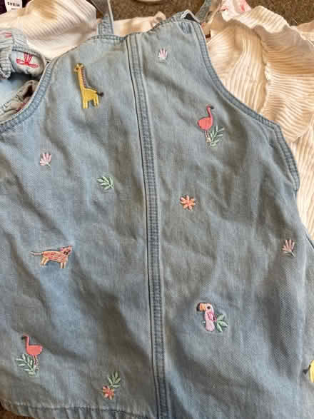 Photo of free Mixed age girls baby clothes (Churchdown, GL3) #1