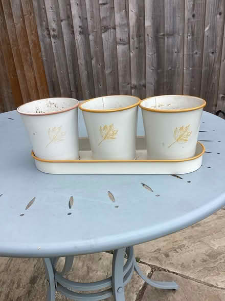 Photo of free Planters (GL53 Leckhampton) #1