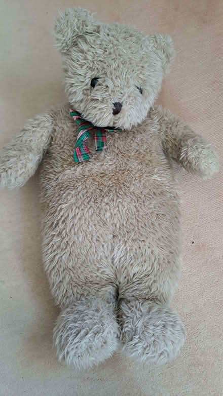 Photo of free Cute bear pj case. (Sherrard's Green WR14) #1