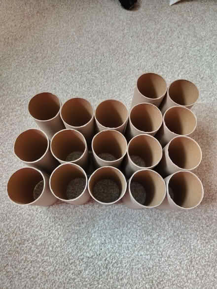 Photo of free Empty Toilet Rolls (North Abingdon, OX14) #1