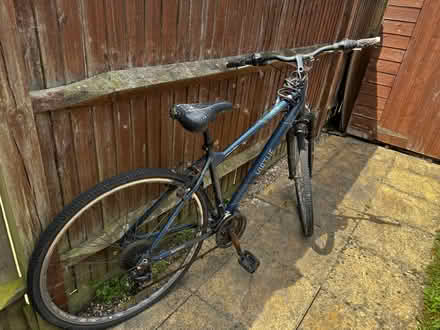 Photo of free Cycle (Ashford TN23) #2
