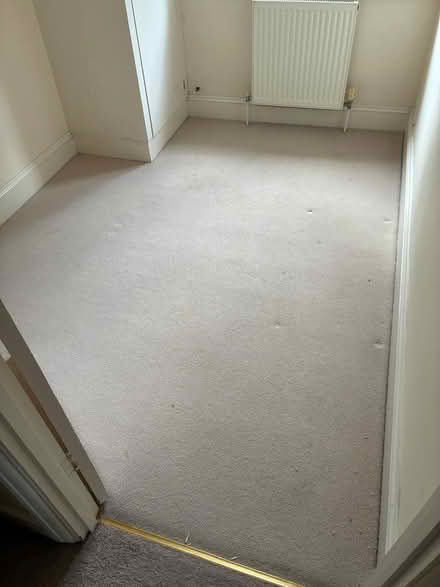 Photo of free Carpets and underlay (Se23) #3