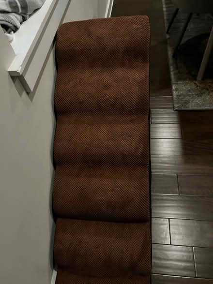 Photo of free Senior cat stairs (Park view\Petworth) #2