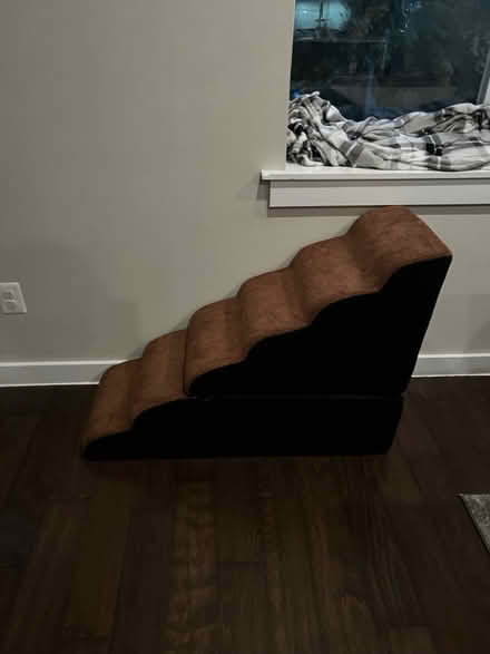 Photo of free Senior cat stairs (Park view\Petworth) #3