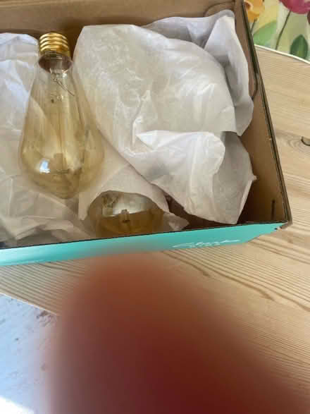 Photo of free Large screw in festoon bulbs (Horningsea CB25) #2
