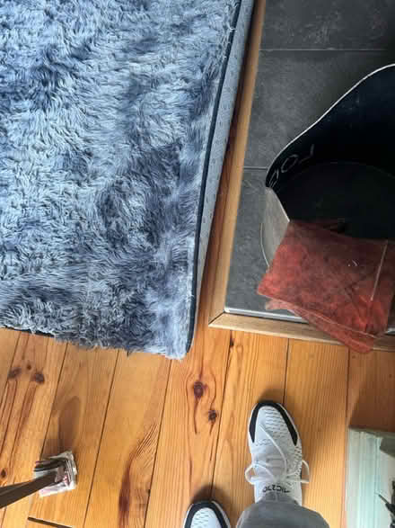 Photo of free Blue/grey rug (Scarisbrick new road PR8) #2