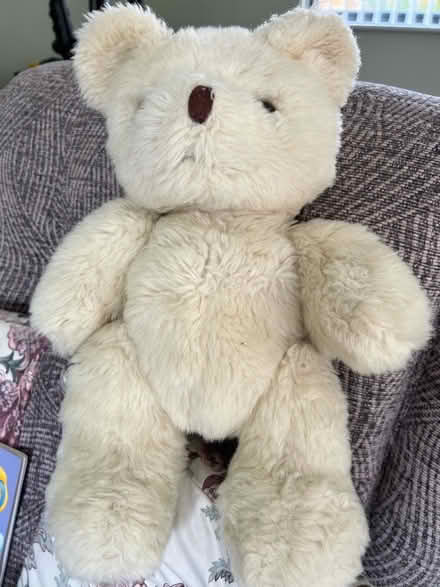 Photo of free Teddy (Westbrook WA5) #1