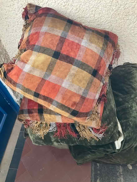 Photo of free Big Feather Cushions (Minehead TA24) #1