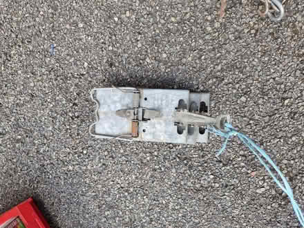 Photo of free Rat traps (hucknall ng15) #4