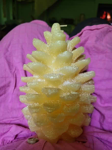 Photo of free Crate and barrel pinecone candle (Unionville) #1