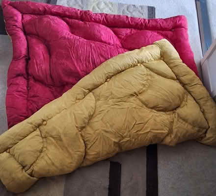 Photo of free Duvet with one gold & one red side (South Acton) #1
