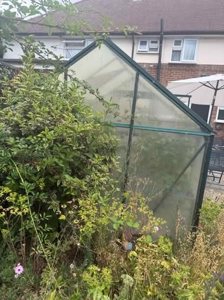 Photo of free Greenhouse (London Colney AL2) #3