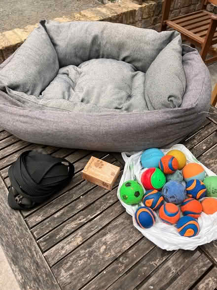 Photo of free Dog bundle (Victoria Park/Brookfield Rd E9) #1