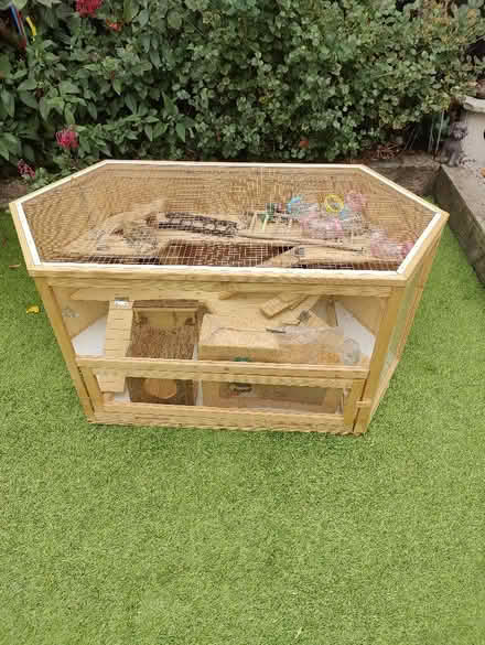 Photo of free Hamster. / Guinee pig cage (Hoddesdon EN11) #1