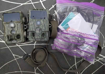 Photo of free 2 wildlife cameras (near Hollow Way, Cowley OX4) #1