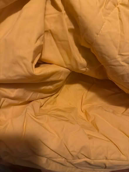 Photo of free Throw blankets & Comforters (Stuyvesant Heights) #3