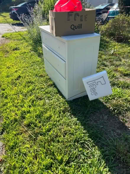 Photo of free Small buearu (Shirley Village) #2