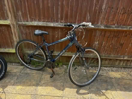 Photo of free Cycle (Ashford TN23) #1