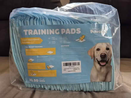 Photo of free Dog Training Pads (Presteigne LD8) #1