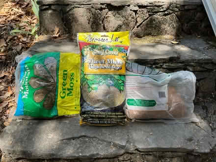 Photo of free Moss for flower basket lining (San Anselmo) #1