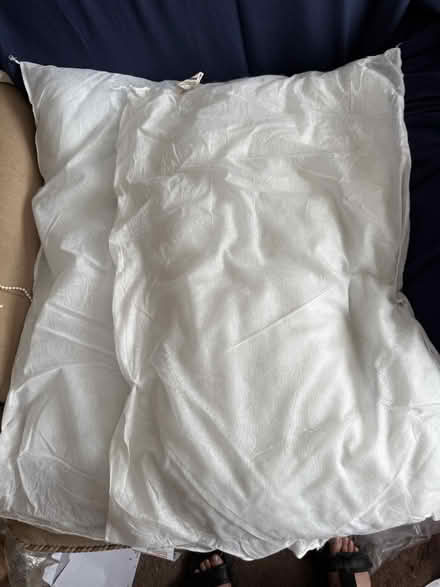 Photo of free cushions and pillows (Croydon. CR2 9) #4