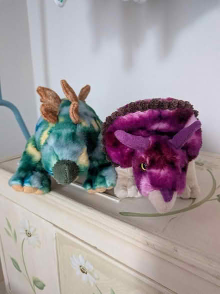 Photo of free Two medium dinosaur soft toys (Bernards Heath AL1) #1