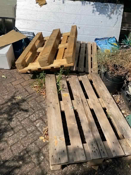 Photo of free Pallets (Cowley OX4) #2