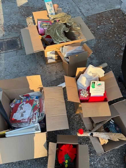 Photo of free pile out front (Los Gatos) #1