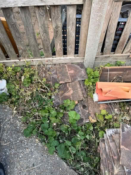 Photo of free Roof tiles (Stotfold SG5) #3