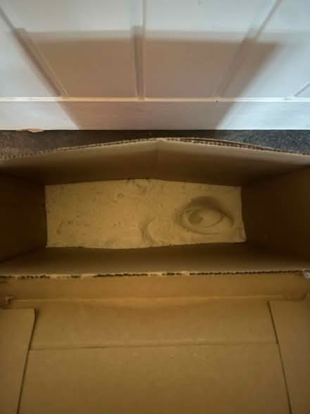 Photo of free Surf’s washing powder (Bethnal Green E2) #2