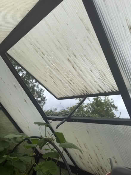 Photo of free Greenhouse (London Colney AL2) #1