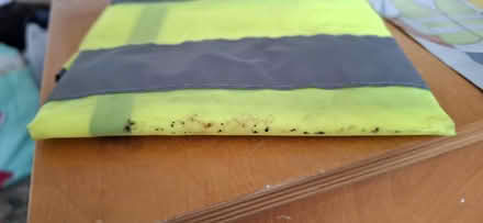 Photo of free Safety vest (Harrogate HG1) #2