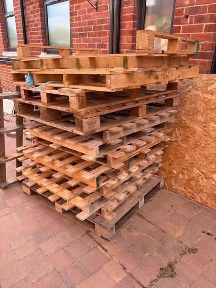 Photo of free pallets and chipboard (Farlington PO6) #1