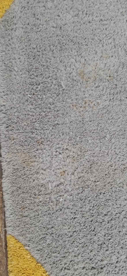 Photo of free Small rug (Galleywood, CM2) #2