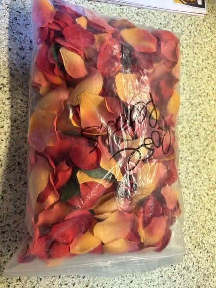 Photo of free Fabric Rose petals (Funtley PO17) #1