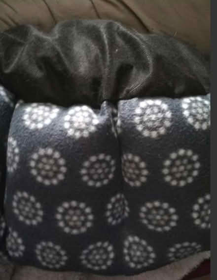 Photo of free Dog bed (Dublin central) #2