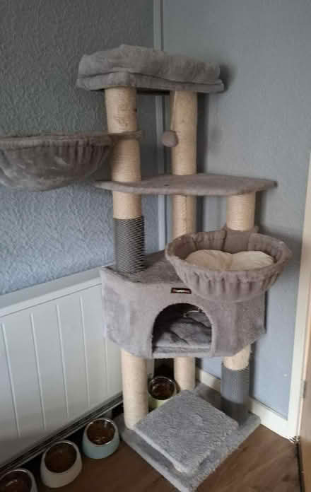 Photo of free Cat towers (Cleehill SY8) #2