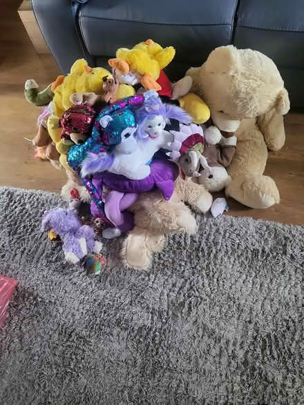 Photo of free cuddly toys (Shenley Brook End MK5) #1