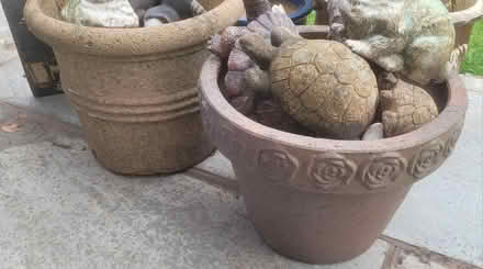 Photo of free Ceramic Garden Pots (St Annes FY8) #4