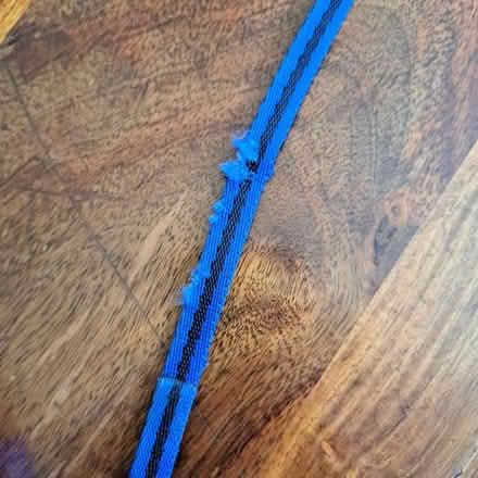 Photo of free Retractable dog lead (Northwood HA6) #2