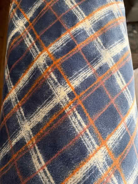 Photo of free 4 years velour fabric- new (Bascom/Union Campbell) #2