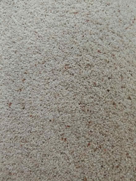 Photo of free Carpet offcut Berber colours (Walton Manor OX2) #1