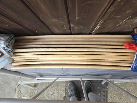 Photo of free Single Cole Curved Metal Bed (E4) #4