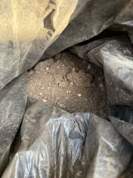 Photo of free Bags of Top Soil (Dry) (Hertford SG13) #1